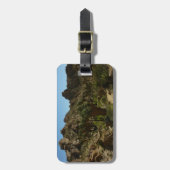 パームズ失ったオアシスIIアットジョシュアツリーナショナルパーク ラゲッジタグ (正面縦)