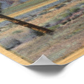 パームツリーからサンジャキンエンジェルビュー ポスター (角)