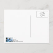 パームツリーがたくさん ありがとう ポストカード (裏面)