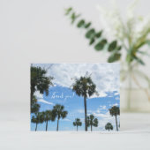 パームツリーがたくさん ありがとう ポストカード (スタンド正面)