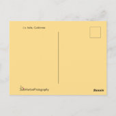 パームツリーとカリフォルニアの夕日 ポストカード (裏面)