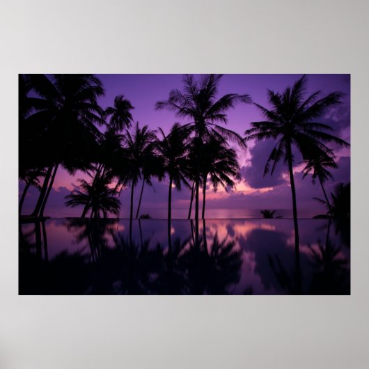 パームツリーの反射 ポスター (正面)