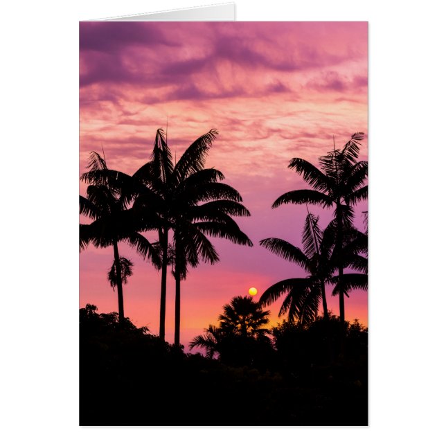 パームツリーの夕日 (正面)