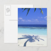 パームツリーの影 ポストカード (正面/裏面)