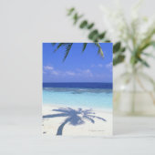 パームツリーの影 ポストカード (スタンド正面)