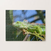 パームツリーの緑のイグアナの写真 ジグソーパズル (横)