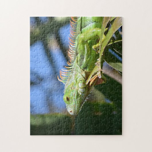 パームツリーの緑のイグアナの写真 ジグソーパズル (縦)