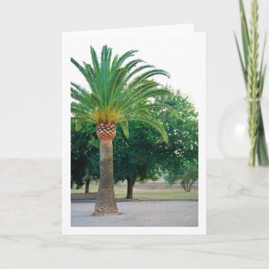 パームツリーの肖像 カード (正面)