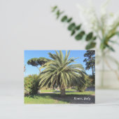 パームツリーインローマ,イタリア ポストカード (スタンド正面)