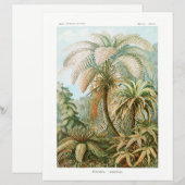 パームツリーエルンストヘッケルティッシュペーパー (正面/裏面)