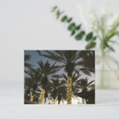 パームツリークリスマスライト シーズンポストカード (スタンド正面)