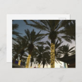 パームツリークリスマスライト シーズンポストカード (正面/裏面)