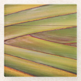 パームツリーコースター ガラスコースター