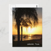 パームツリーサンセット ポストカード (正面/裏面)