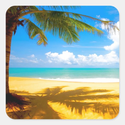 パームツリーシャドウ スクエアシール (正面)