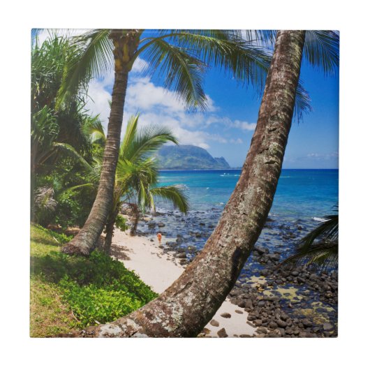 パームツリーズアヨンヒダウェイズビーチ タイル (正面)
