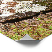 パームツリーズアヨンヒダウェイズビーチ ポスター (角)