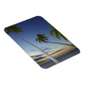 パームツリーズアンドサンセットプランテーションアイランドリゾート マグネット (右側)