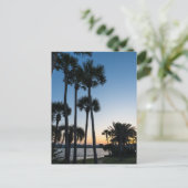 パームツリーズサンライズデスティンフロリダポストカード ポストカード (スタンド正面)