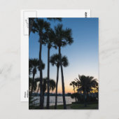 パームツリーズサンライズデスティンフロリダポストカード ポストカード (正面/裏面)
