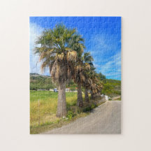 パームツリーズザキントスギリシャ