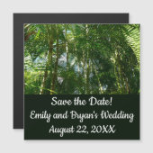 パームツリーズフォレストトロピカル自然 (正面/裏面)