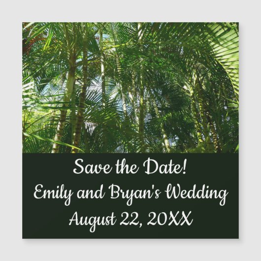 パームツリーズフォレストトロピカル自然 (正面)