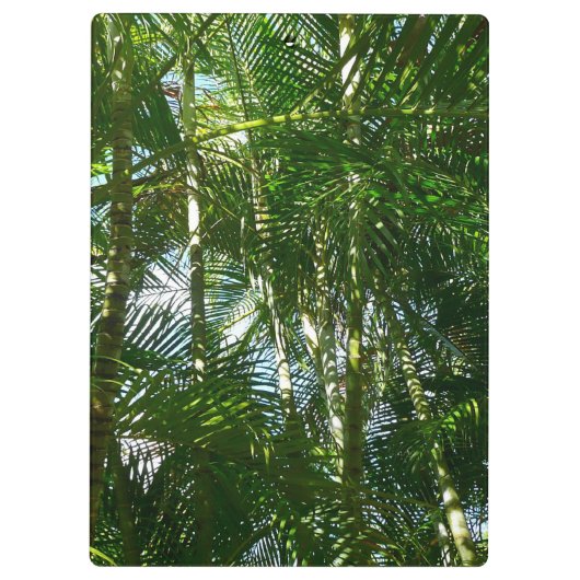 パームツリーズフォレストトロピカル自然 クリップボード (裏面)