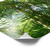 パームツリーズフォレストトロピカル自然 フォトプリント            (角)