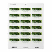 パームツリーズフォレストトロピカル自然 ラベル (フルシート)