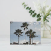 パームツリーズマウイハワイ ポストカード (スタンド正面)