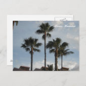 パームツリーズマウイハワイ ポストカード (正面/裏面)