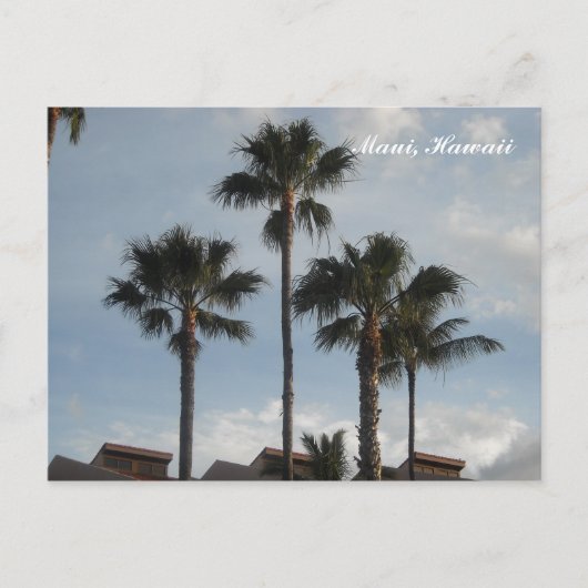 パームツリーズマウイハワイ ポストカード (正面)