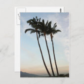 パームツリーズ&サンセット ポストカード (正面/裏面)