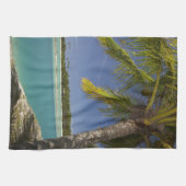 パームツリーズ&ラグーンマスケットコーブアイランドリゾート キッチンタオル (横)
