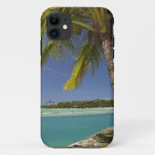 パームツリーズ&ラグーンマスケットコーブアイランドリゾート Case-Mate iPhoneケース (裏面)