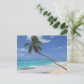 パームツリーバルバドス ポストカード (スタンド正面)