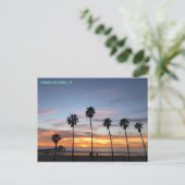 パームツリーパーティー- 🤩マンハッタンビーチ ポストカード (スタンド正面)