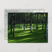 パームツリーフォレスト ポストカード (正面/裏面)