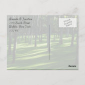 パームツリーフォレスト ポストカード (裏面)