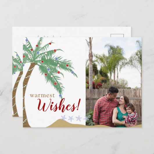 パームツリーホリデーフォトポストカード シーズンポストカード (正面/裏面)
