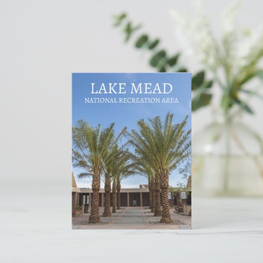 パームツリーラインウォークビジターセンターレイクミード,NRA ポストカード (スタンド正面)