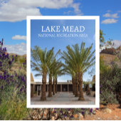 パームツリーラインウォークビジターセンターレイクミード,NRA ポストカード