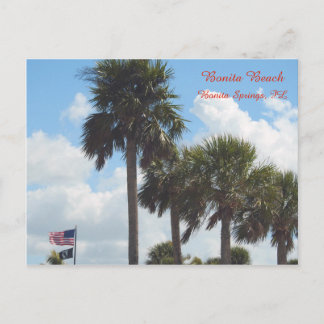 パームツリー付きポストカードビーチ ポストカード