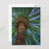 パームツリー及びビーチ結婚式招待状 ポストカード (正面/裏面)