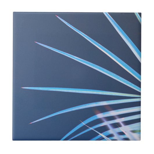 パームツリー葉ミニマリズムのスケッチ タイル (正面)