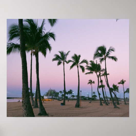 パームツリー2 ポスター (正面)