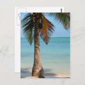 パームツリー – はがき (正面/裏面)