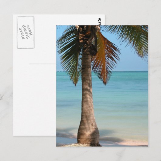 パームツリー – はがき (正面/裏面)