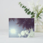 パームツリー&サン ポストカード (スタンド正面)